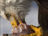 060319-0720425413-IMG 3276-001c