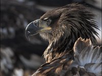 060319-0720425413-IMG 3393-001