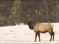 070127-0000204031-GP5B1973-001