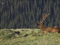 070703-0000204031-GP5B6150-001