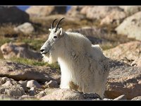 070617-0000204031-GP5B5217-001