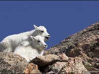 070617-0000204031-GP5B5578-001