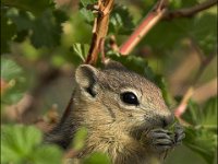 070703-0000204031-GP5B9736-001